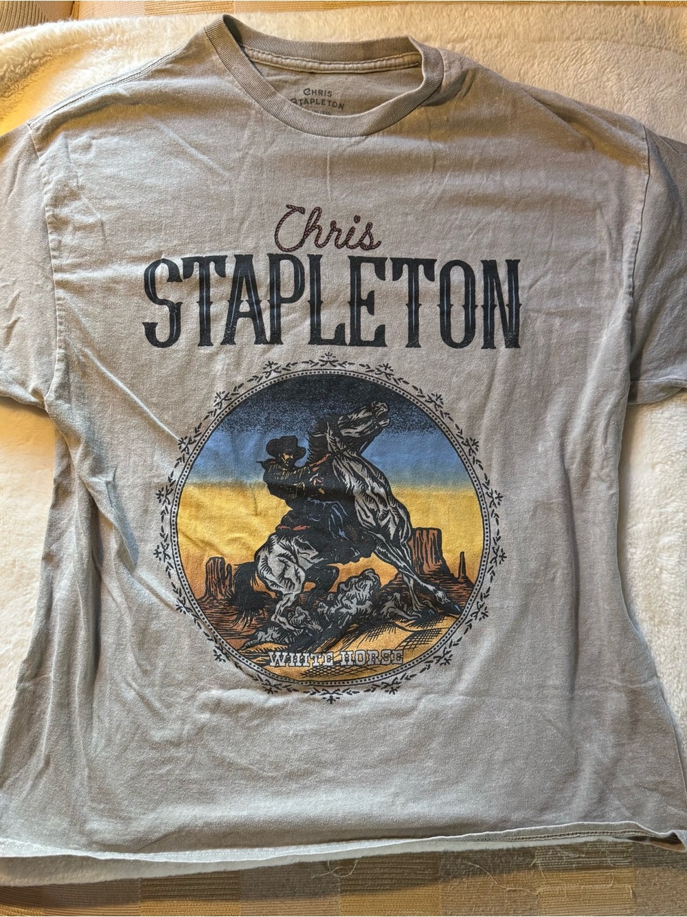Men's Graphic T-Shirt - Light Gray with Sunset Print